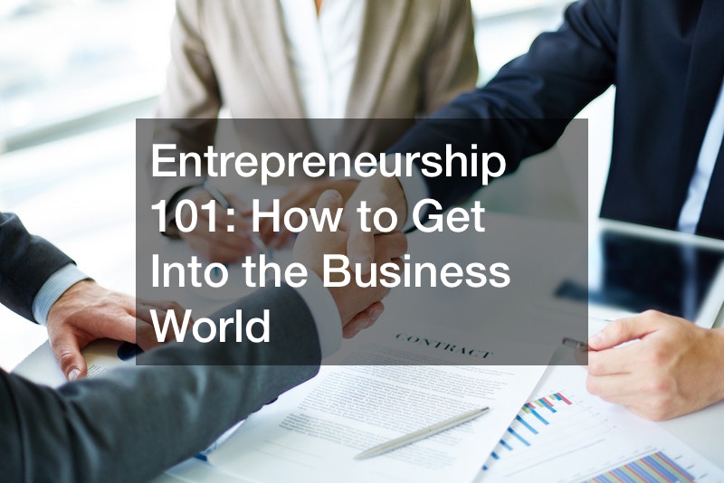 Entrepreneurship 101:  How to Get Into the Business World